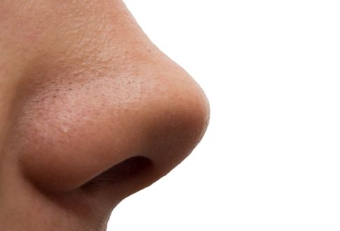 Η αίσθηση της όσφρησης είναι κβαντική, δείχνει ελληνική μελέτη